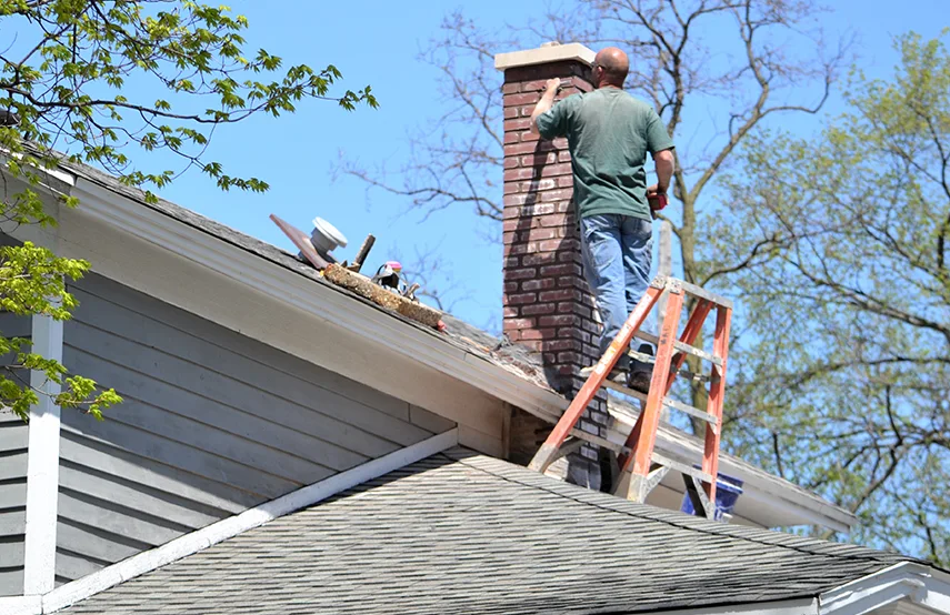 Chimney & Fireplace Inspections Services in Duluth, MN
